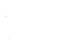 GORILLA SMILE